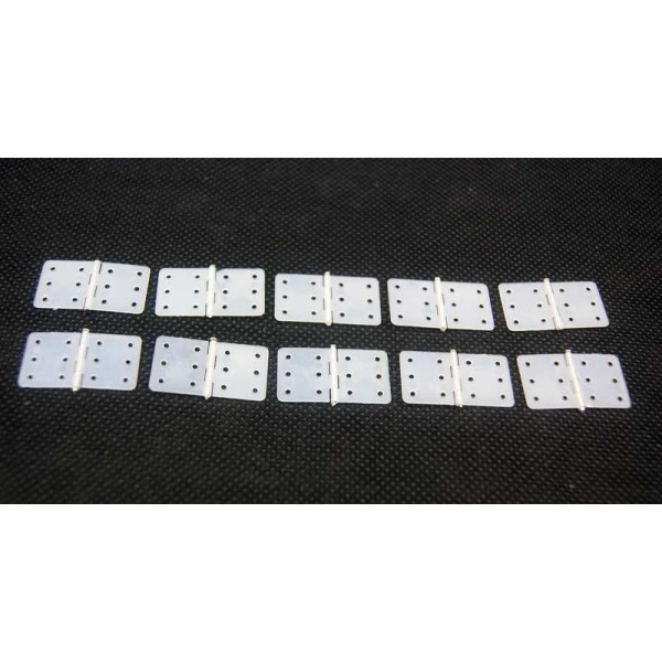7/8in Nylon Hinges (10pcs)