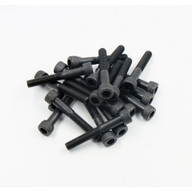 Metric Socket Head Cap Screw M4 x 30mm (20pcs)